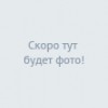 Moscow