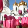 Фотографии отеля Week-long Two Capitals of Russia