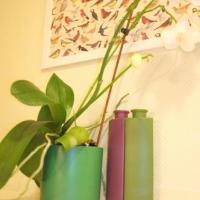 Фотографии отеля Миссис Хадсон