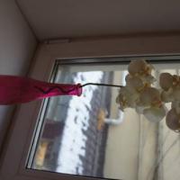 Hotelfotos Online Хостел