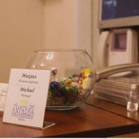 Фотографии отеля Роял Антарес