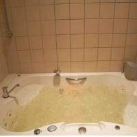 Фотографии отеля Gagarinskie Bani Sauna Hotel