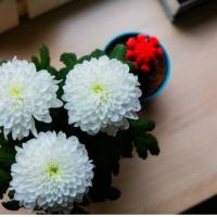 Фотографии отеля One Love Hostel