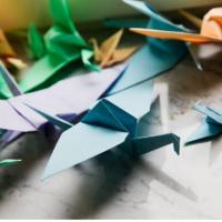 Фотографии отеля One Love Hostel