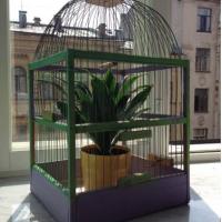 Фотографии отеля One Love Hostel