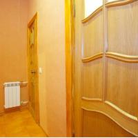 Hotelfotos Saint Petersburg Soft Apartment