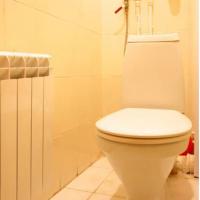 Фотографии отеля Saint Petersburg Soft Apartment