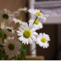 Hotel photos New Hostel