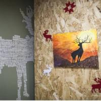Фотографии отеля New Hostel