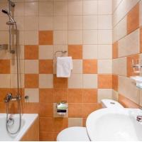 Fotos del hotel Невский Сентрал-отель