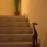 Hotel photos Hostel Fun Giraffe