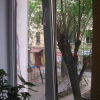 Hotel photos Iguana on Moskovsky
