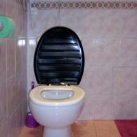 Fotos del hotel Mini-hotel Palitra