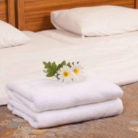 Фотографии отеля Mini Hotel Asteri