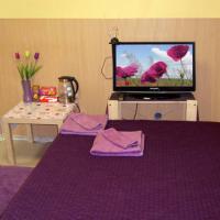 Фотографии отеля Mini-hotel Palitra