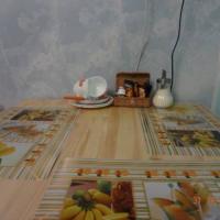 Фотографии отеля Хостел Березка