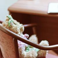 Фотографии отеля Карелия