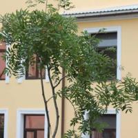 Фотографии отеля Mini Hotel Jazzclub