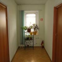 Hotel photos Alpiysky Hostel