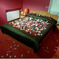 Hotel photos Otel Leto