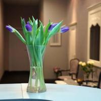 Фотографии отеля Hotel City