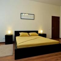 Hotel photos Neva Flats Vosstaniya Square