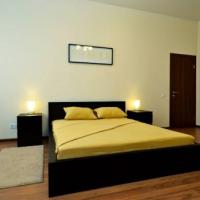 Hotel photos Neva Flats Vosstaniya Square