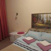 Hotel photos Hotel Ozerki