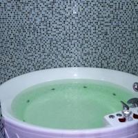 Фотографии отеля Alex Hotel on Vasilyevsky Island