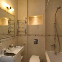 Hotel photos Neva Flats Vosstaniya Square