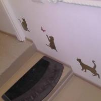 Hotel photos Eden House