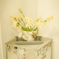 Фотографии отеля Hostel Sluga Dvukh Gospod