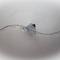 Фотографии отеля Apartments on Moskovsky 182