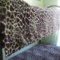 Фотографии отеля Premiera Hostel