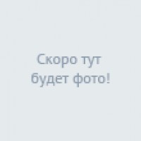 Фотографии отеля NevaFlats Tavrichesky