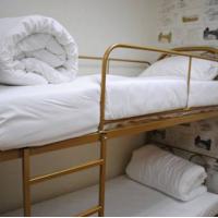 Hotel photos Giggly Hostel