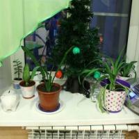 Hotel photos Lucky Hostel