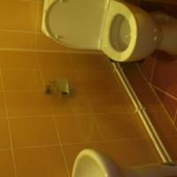 Фотографии отеля Хостел Планета Питер