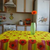 Фотографии отеля Apartamenti na Komendantskom