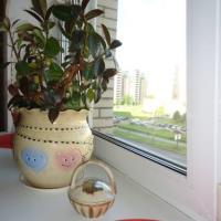 Hotel photos Apartamenti na Komendantskom