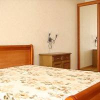 Фотографии отеля Na Dobrolyubova Apartment