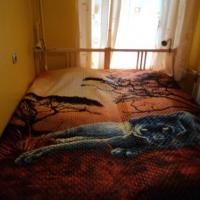 Фотографии отеля Viktoriansky Hostel