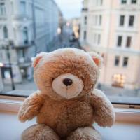 Фотографии отеля Nevsky Prospect 107