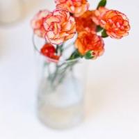 Фотографии отеля Good Night