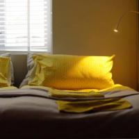 Fotos del hotel Gagarin Apartments