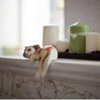 Фотографии отеля Family Hotel