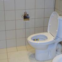 Фотографии отеля NII Polenova Hotel