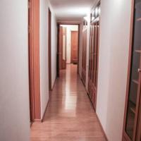Hotel photos Tadeo Apartments - TALEON