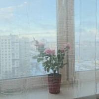 Фотографии отеля Studio Evia
