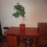Hotelfotos Apartamenti na Komendantskom 25